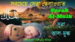 সবচেয়ে সেরা কন্ঠে সুরা মুলক  surah mulk beautiful recitation  recited by abu misbah [upl. by Adnahc]