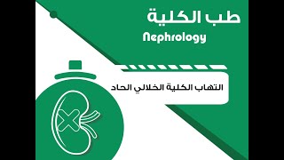 Nephrology  Acute interstitial nephritis  طب الكلية  التهاب الكلية الخلالي الحاد [upl. by Nagiam60]