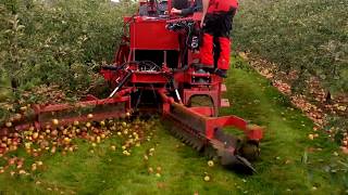 Cider Apple Harvesting Herefordshire Feucht Obsttechnik OB Future 2 [upl. by Jezabel]