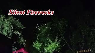 Midnight Silent Fireworks fireworks midnight JOGINADEMOL [upl. by Freda]