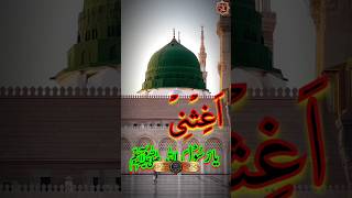 Bakare khaish hairanam agisni ya rasull Allah youtubeshortsviralvideo viralshort shortsfeednew [upl. by Garling584]