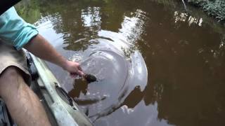 Kayak Bass fishing in the MobileTensaw Delta [upl. by Ayatnahs]