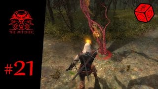 Dealing with the Coccacidium archespore  Lets Play The Witcher 21 [upl. by Ravel935]