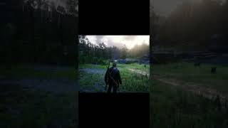 Red Dead Redemption 2 short rdr2 [upl. by Silber]