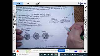 Honors Bio Cells Unit 3 Lecture 7 Endosymbiotic Theory Level 4 [upl. by Rodgers639]