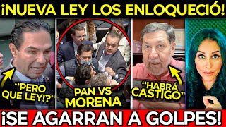 NO LO SOPORTARON NUEVA LEY LOS ENLOQUECE GOLPES EN EL SENADO [upl. by Robina]