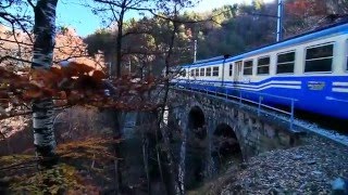 Ferrovia VigezzinaCentovalli Un viaggio lungo una fiaba [upl. by Glynas]