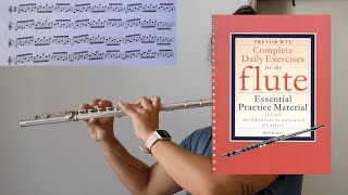 Best flute exercises for technique arpeggios  Trevor Wye Daily Exercises [upl. by Niwrek54]