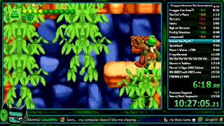 WR Frogger Advance The Great Quest in 1619 Any Speedrun [upl. by Marybelle]