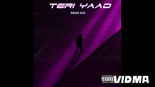 SEAN SIX  Teri Yaad  Official Audio Song [upl. by Ailalue631]