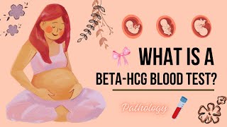 What is a betahCG Blood Test [upl. by Nosnej]