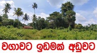 කුරුණෑගලින් වගාවට ඉඩමක් house for sale in sri lanka  house and land for sale  nilu property [upl. by Ellehcear]