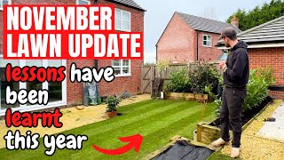 Key Lessons I’ve Learnt about Lawn Care This Autumn  November Lawn Update [upl. by Gayel497]