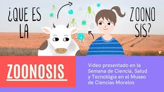 ¿Qué es la zoonosis  🐄👨🏼‍🌾🐕🤵🏼🐒🤰🏻🐈 [upl. by Allecsirp]