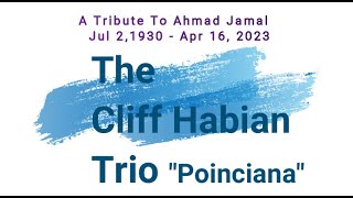 Tribute to Ahmad Jamal Poinciana Cliff Habian Trio [upl. by Annekcm]