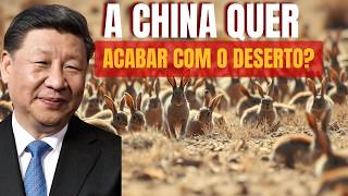 O Milagre dos Coelhos no Deserto Como Eles Transformaram Areia em Oásis [upl. by Aztiram]