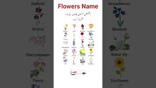 Flowers name in English flowersname youtubeshorts [upl. by Renaud]