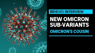 New warnings about two more Omicron subvariants emerging  ABC News [upl. by Anegue]