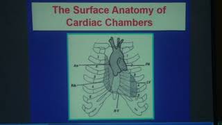 Basic in Pediatric Cardiac XRay  Pediatrics  5th grade [upl. by Anyel]