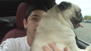 Pray for Bosley  FaZe Rug [upl. by Sina303]