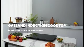 Revolutionize Your Cooking with GASLAND Portable Induction Cooktop 🍳 [upl. by Tilford262]