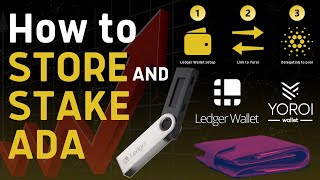 How to STORE amp STAKE Cardano ADA in a Hardware Wallet  Stepbystep Ledger Nano S Beginner Tutorial [upl. by Beekman]