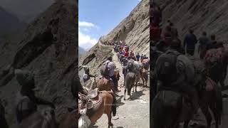 Amarnath Yatra 2023 [upl. by Graaf]