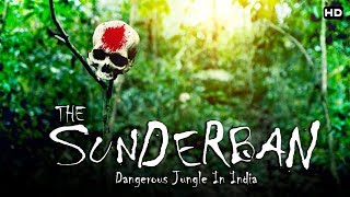 भारत का सबसे खतरनाक जंगल quotसुंदरबनquot  The Dangerous Sundarban [upl. by Aidyl]