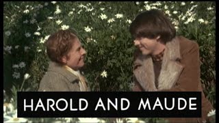 Harold And Maude Trailer1 1971 [upl. by Konopka737]