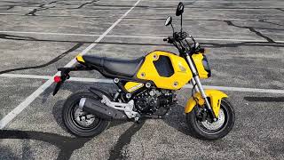 2022 Honda Grom Yellow Honda Marysville Motorsports [upl. by Harsho]