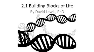 21 Building Blocks of Life [upl. by Eelirem]