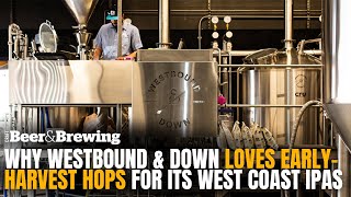 Brewing Tip Why Westbound amp Down Loves EarlyHarvest Hops for Its West Coast IPAs [upl. by Nimzay]