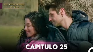 Un Asunto de Mansión Capitulo 25 [upl. by Aisanahta]