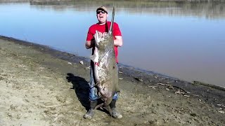 Paddlefishing the Missouri River [upl. by Thatch841]