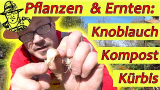 Gartenrundgang Knoblauch pflanzen Kompost pflegen Kürbis ernten mit Outtakes [upl. by Elvis]