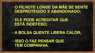 4 Truques para Fazer o Filhote Parar de Chorar versão reduzida [upl. by Enuj]