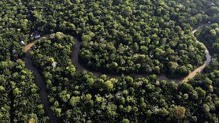 La Commissione europea rinvia di un anno la legge sulla deforestazione dopo le proteste dei… [upl. by Hanala581]