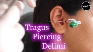 Tragus Piercing Delimi  Karınca Tattoo  How To Make Tragus Piercing [upl. by Etsyrk803]