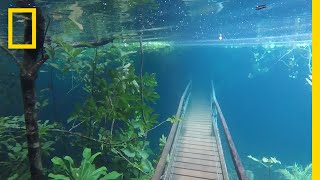 Heavy Rains Submerge Hiking Trails in Crystal Clear Waters  National Geographic [upl. by Kaplan397]