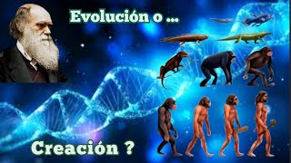 Evolución o Creación [upl. by Aivon988]