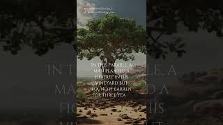 Cultivating Spiritual Fruitfulness Lessons from the Barren Fig Tree [upl. by Bouchier]