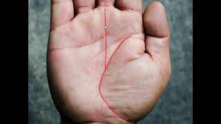 6 Extreme Wealth Lines in Palmistry [upl. by Rogovy]