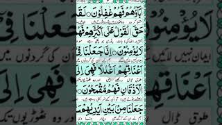 Surah Yaseen yaseen quran [upl. by Christean]