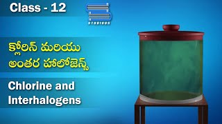 క్లోరిన్ అంతర హాలోజన్లు  Chlorine interhalogens  PBlock Elements  Chemistry Telugu  Class 12 [upl. by Brittnee]