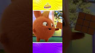 Sunny Bunnies Playing With Rubik cubes shorts youtubeshorts shortsfeed kartun kartunlucu [upl. by Grissom]