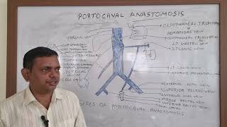 PORTOCAVAL ANASTOMOSIS PORTOSYSTEMIC ANASTOMOSIS ABDOMEN ANATOMY [upl. by Deonne562]