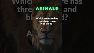 Which creature has three hearts and blue blood trivia animals animalshorts [upl. by Yeldnarb]