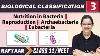 Biological Classification 03  Nutrition in Bacteria l Reproduction l Class 11NEET  RAFTAAR [upl. by Alten]