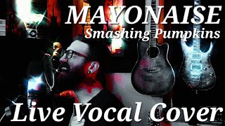 Mayonaise  Smashing Pumpkins   Live Full Vocal Cover  David Gray [upl. by Ailuy]