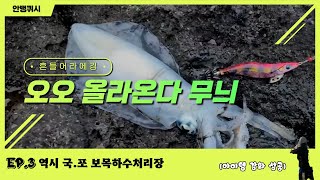 에깅 로드와 릴을 바꾸니 무늬오징어가 잡힌다  서귀포 에깅 포인틑 보목하수처리장 [upl. by Pomona]